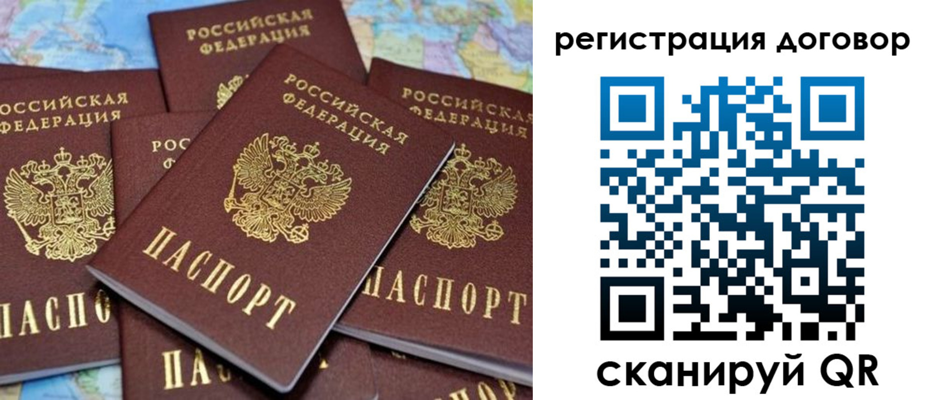 прописка гарантия в Ардоне